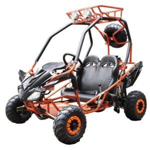 DongFang 125cc Kids Go Karts Type-GTS