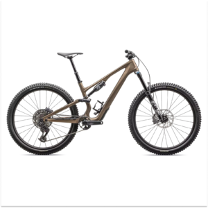 Specialized Stumpjumper 15