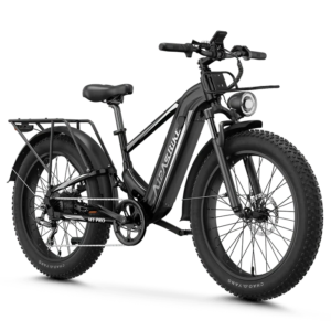 Aipas M2 Xterrain Ebike Aipas-M2-black Baskets.