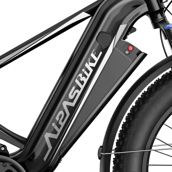 Aipas M2 Xterrain Ebike Aipas-M2-black Baskets. - Image 3