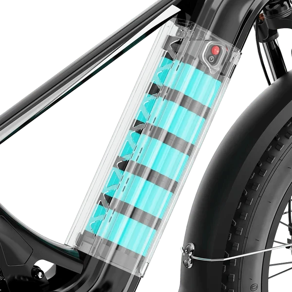 Aipas M2 Xterrain Ebike Aipas-M2-black Baskets. - Image 7